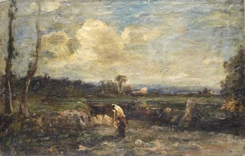 Nei campi